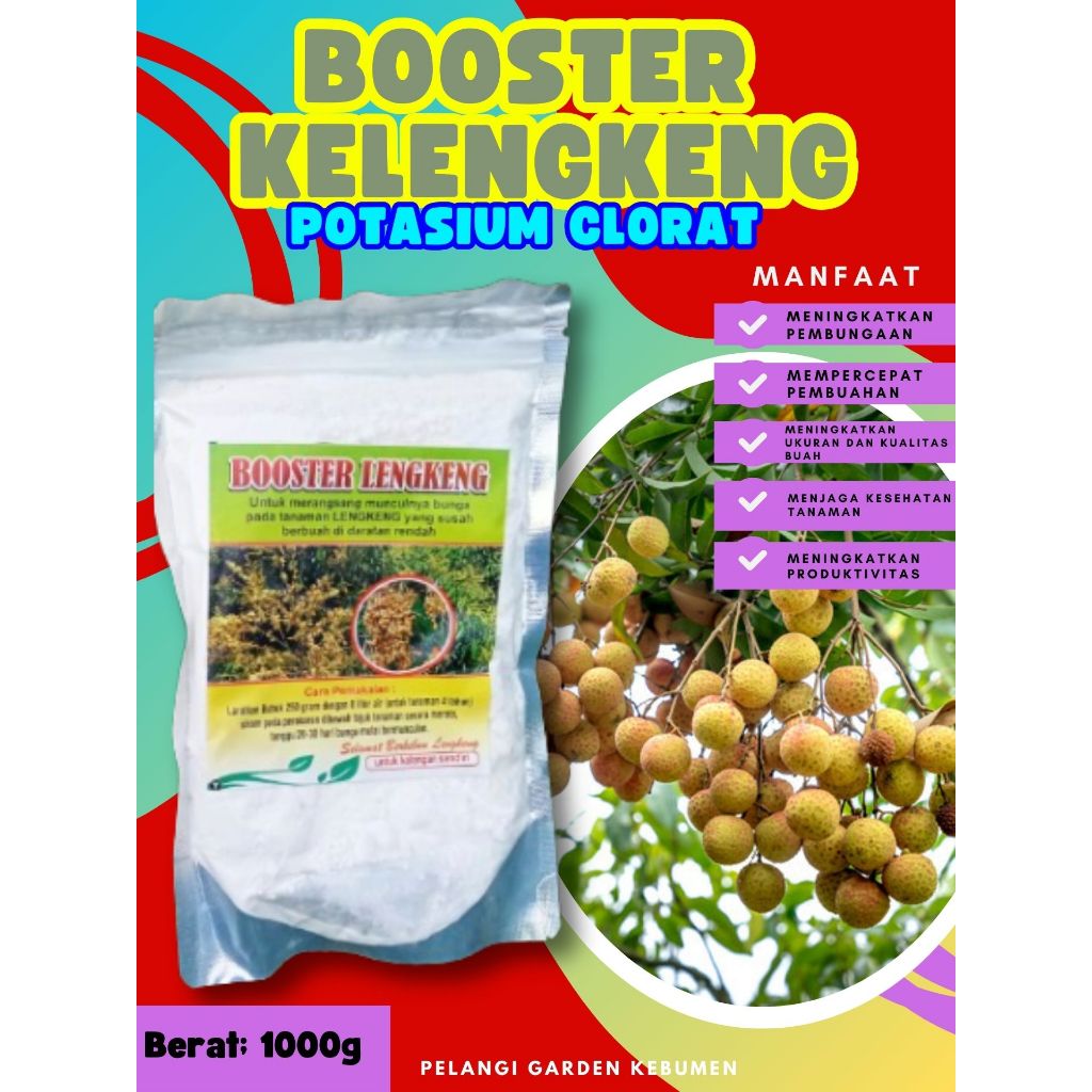 BOOSTER TERBAIK..   Booster Buah Kelengkeng Berbuah, Booster Buah Kelengkeng Berbunga, Booster Buah 