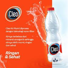

Cleo Air Mineral 550Ml 1 Karton
