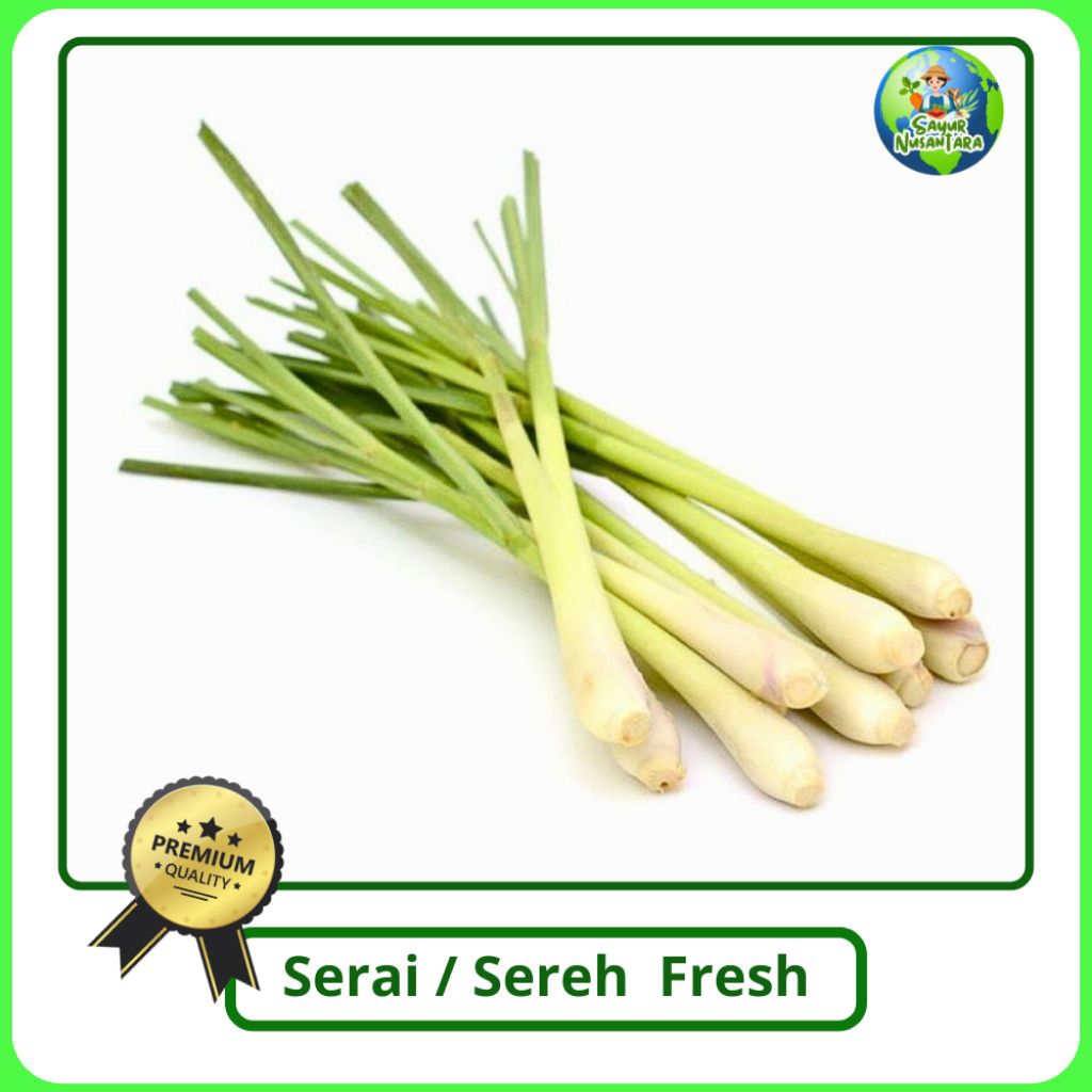 

Serai/Sere [1 kg] Fresh bisa COD