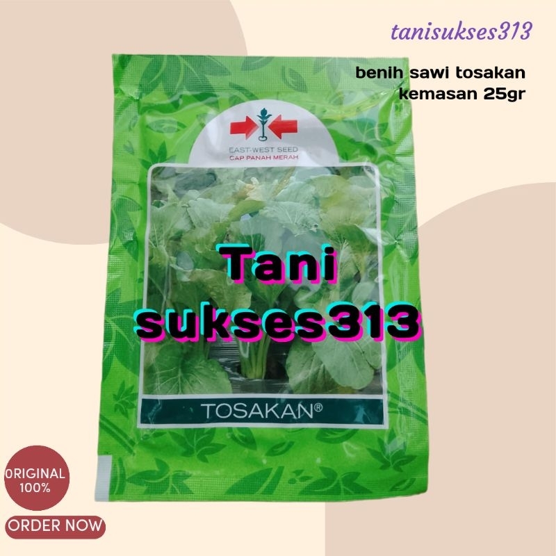 Benih sawi tosakan 25gr tosakan sawi