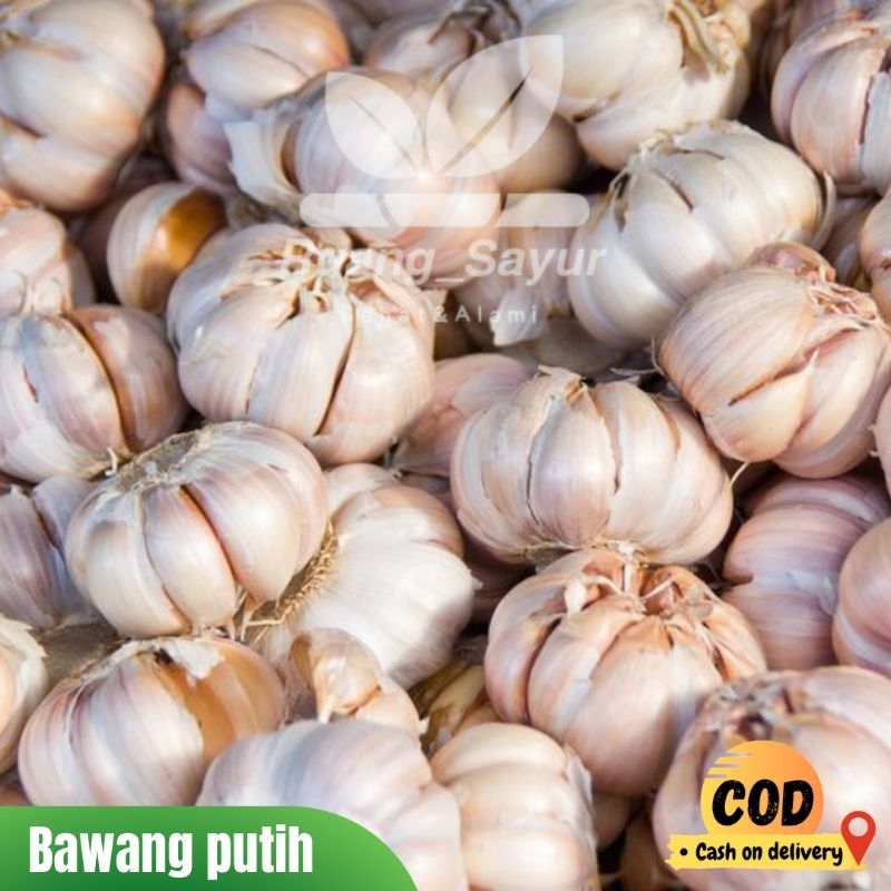 

Bawang Putih , Bawang Putih 1 Kg , garlic , Bawang Putih Lokal