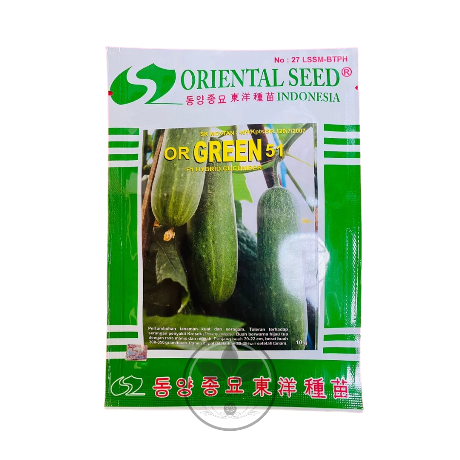 Benih - Benih mentimun or GREEN 51 isi 10gr dari ORIENTAL SEED (ORIENTAL SEED)