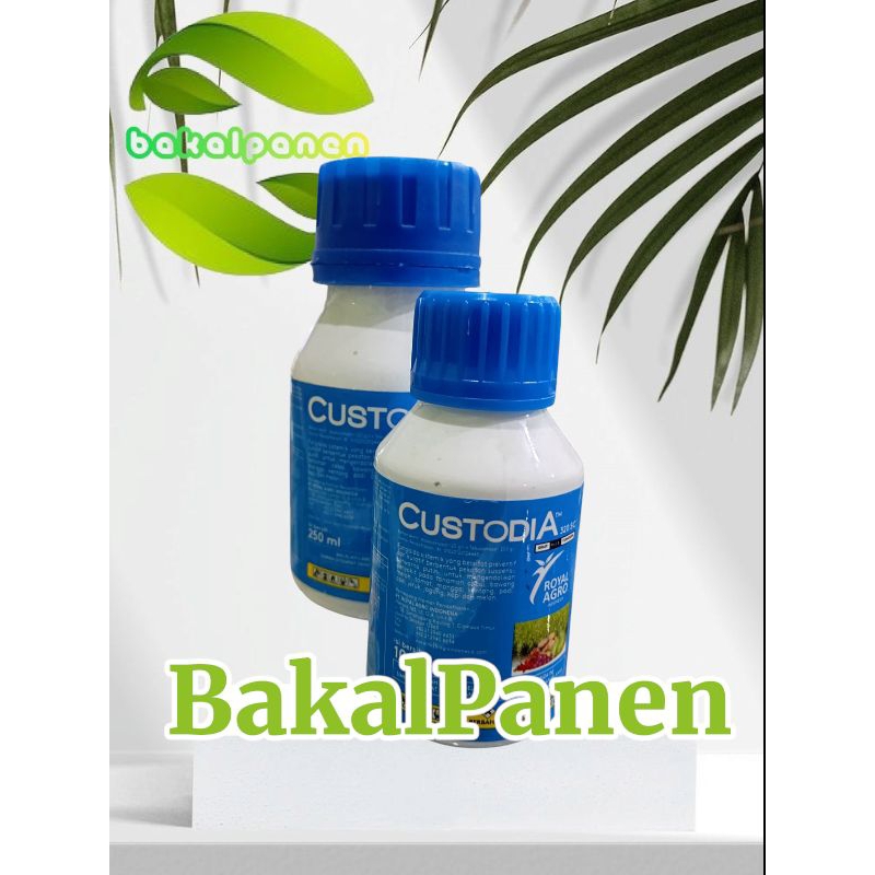 Fungisida obat jamur sistemik Custodia Royal Agro indonesia