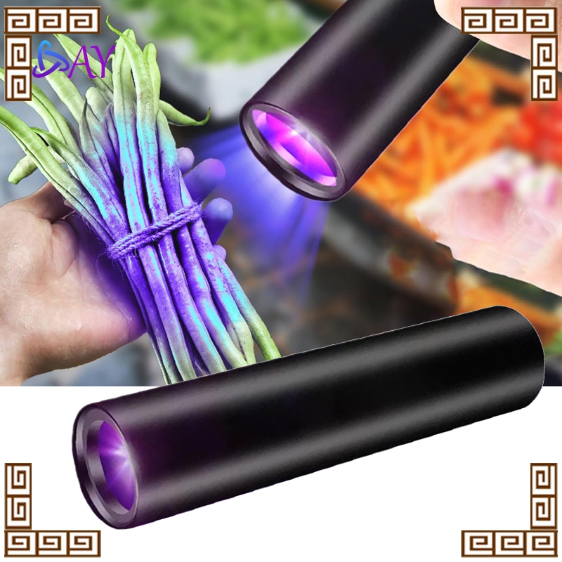 Senter UV 395nm High Power Deteksi Uang Palsu Pestisida Sayuran Charge USB Portable