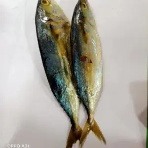 

ikan asin peda putih