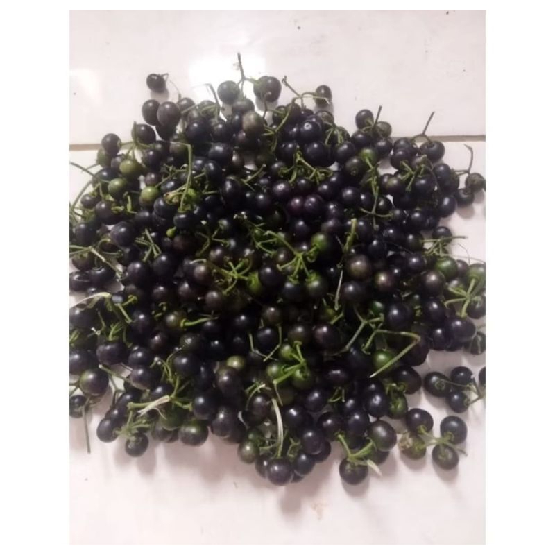 

Benih Leunca lenca per 100gr