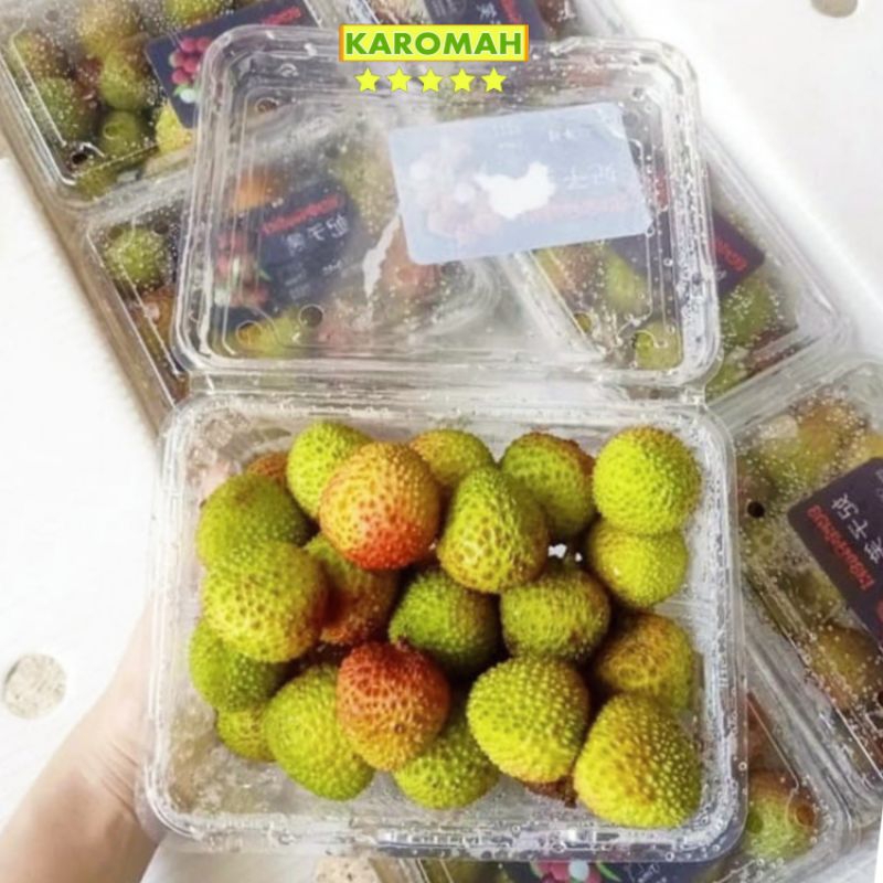 

RB 2928 Buah Leci Hijau 1 Kg Madu Fresh Manis Daging Tebal / Buah Leci Import Leci Madu 1 Kg