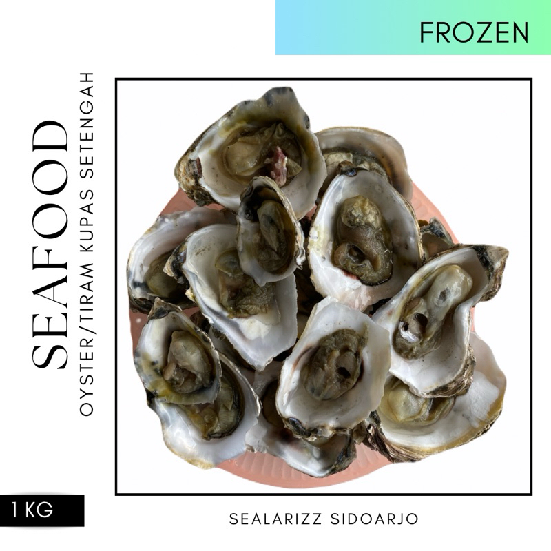 

Kerang Oyster / Oyster / Seafood / Shell / Kerang