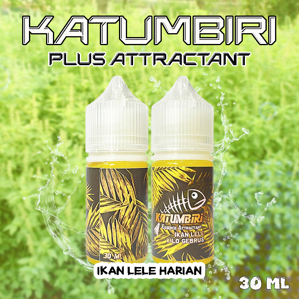 Katumbiri Essen Ikan Lele Mancing Harian Kilogebrus Aroma Kemangi Daging Tuna