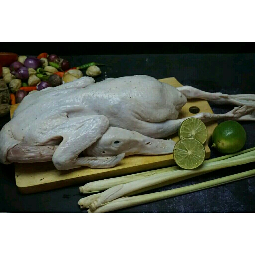 

bebek peking fresh frozen / bebek muda / bebek karkas