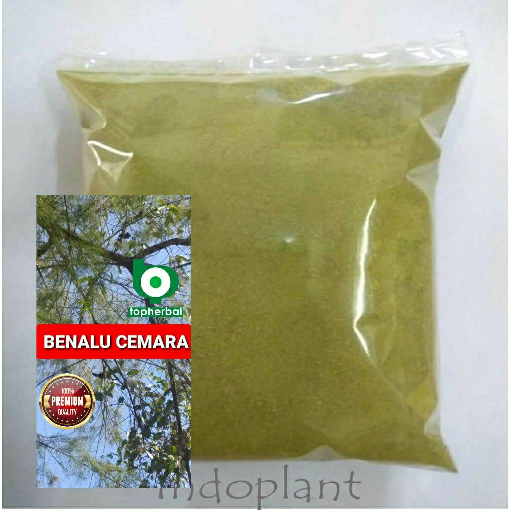 

Bubuk Benalu Cemara 1 Kg/1000 Gram Kering Hijau Organik Super Premium