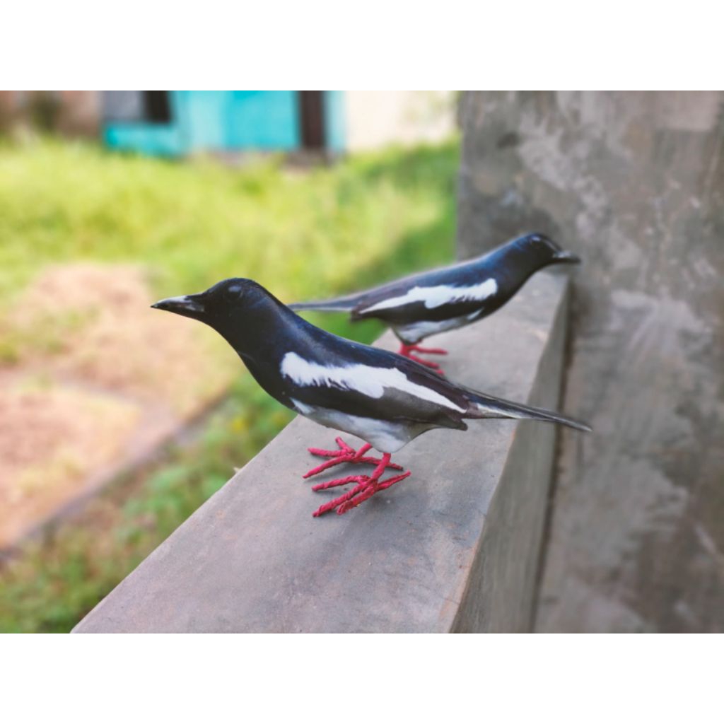 PATUNG JONTROT BURUNG KACER OCEHAN - PATUNG BURUNG KACER - JONTROT KACER OCEHAN