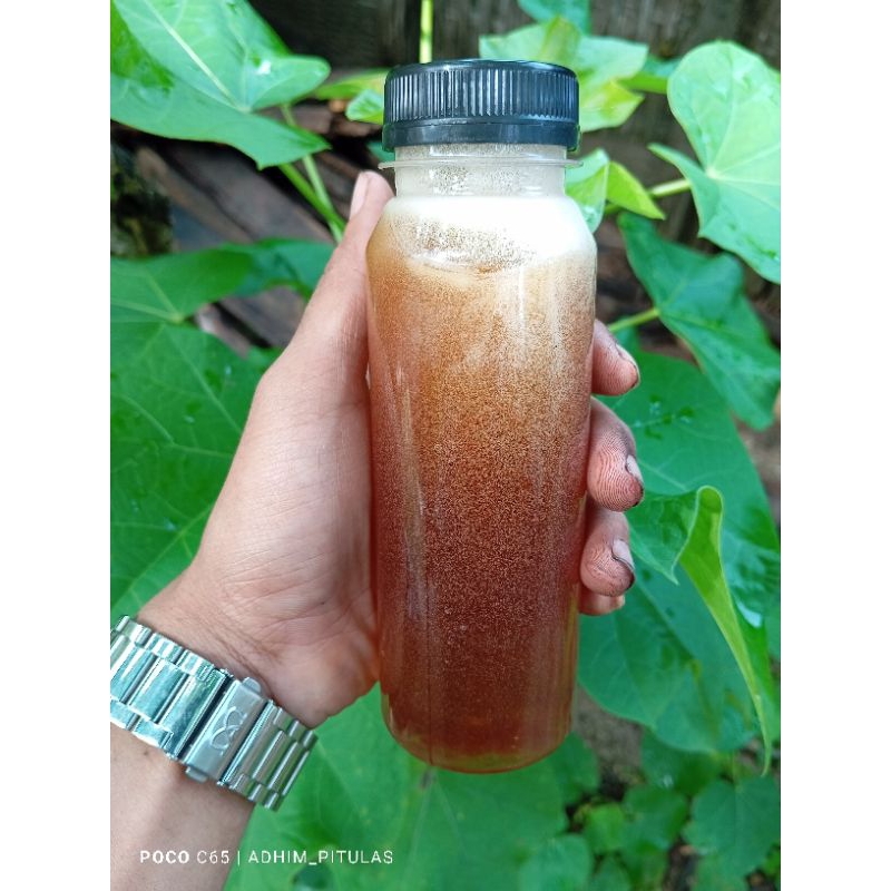 

Madu Tawon mentah 350gr