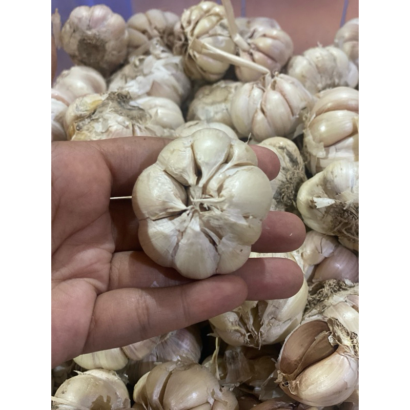

bawang putih 250gr
