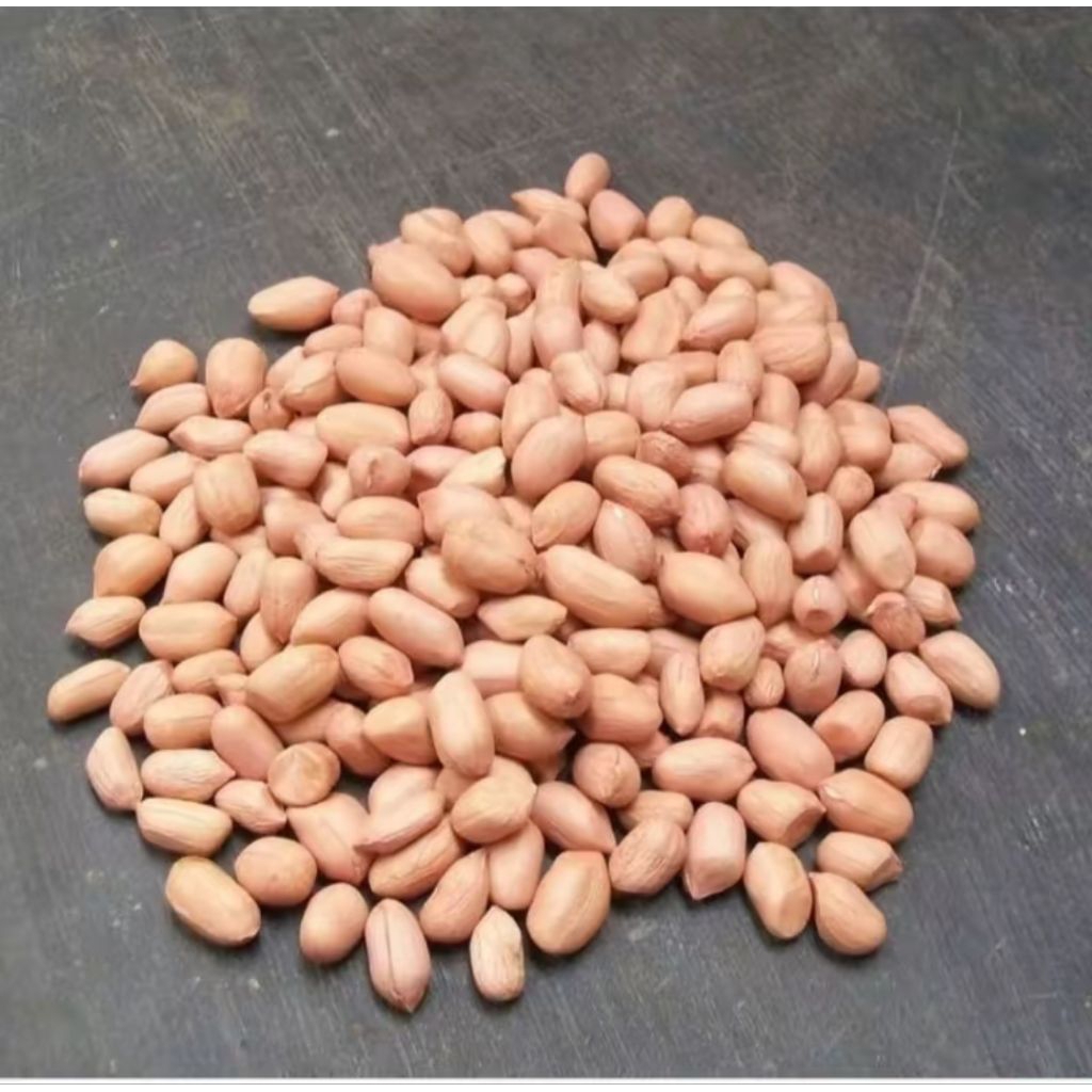 

KACANG TANAH MENTAH 1kg