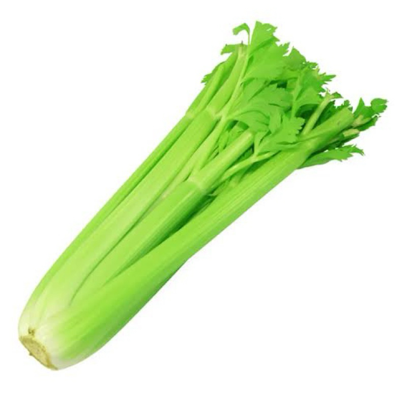 

CELERY STICK / SELEDRI STIK IMPORT BAHAN JUS SEHAT