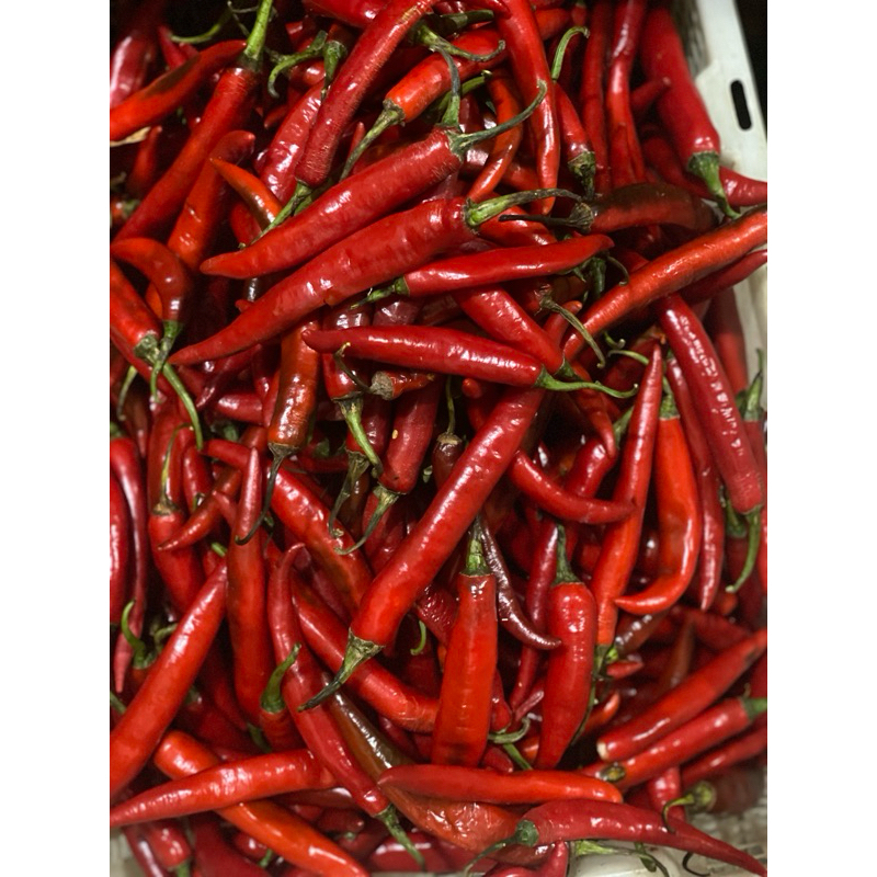 

Cabai merah besar 250gr