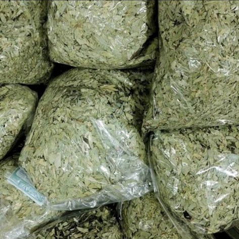 

Teh Daun Jati Cina 1kg curah Teh Peluntur Lemak // Teh Daun Jati Cina 500 gram