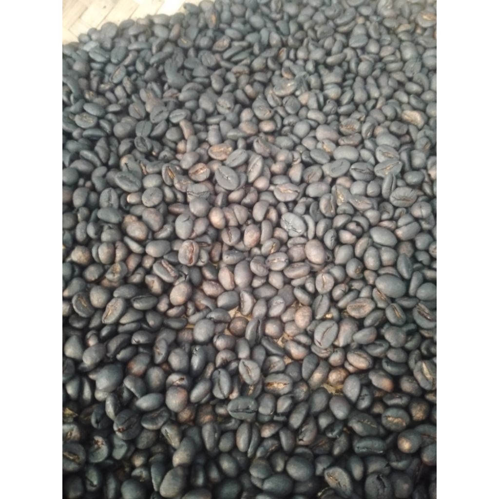 

kopi roasting