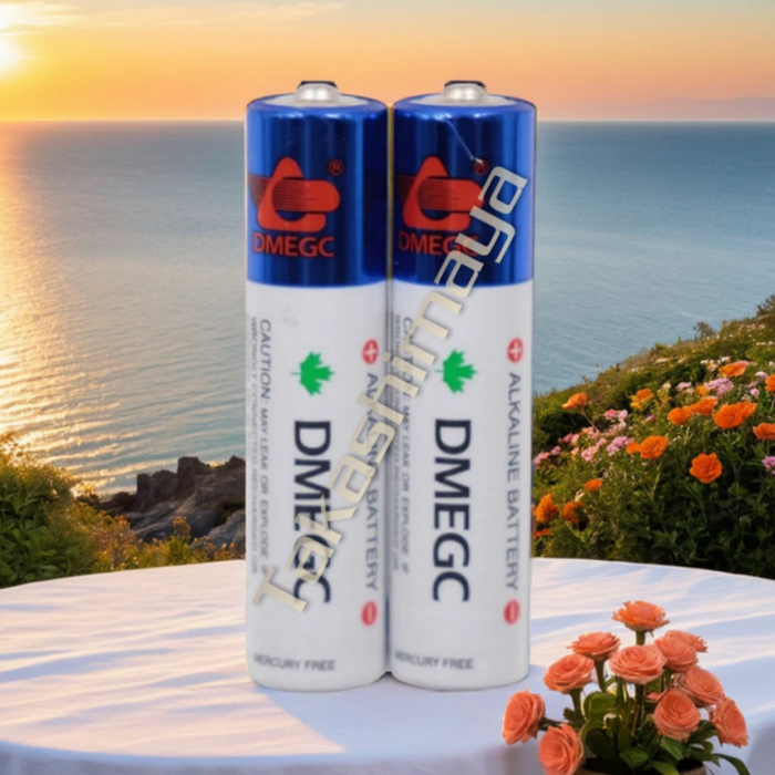 [ DMEGC ] Baterai AAA Kecil DMEGC (2 Pcs)