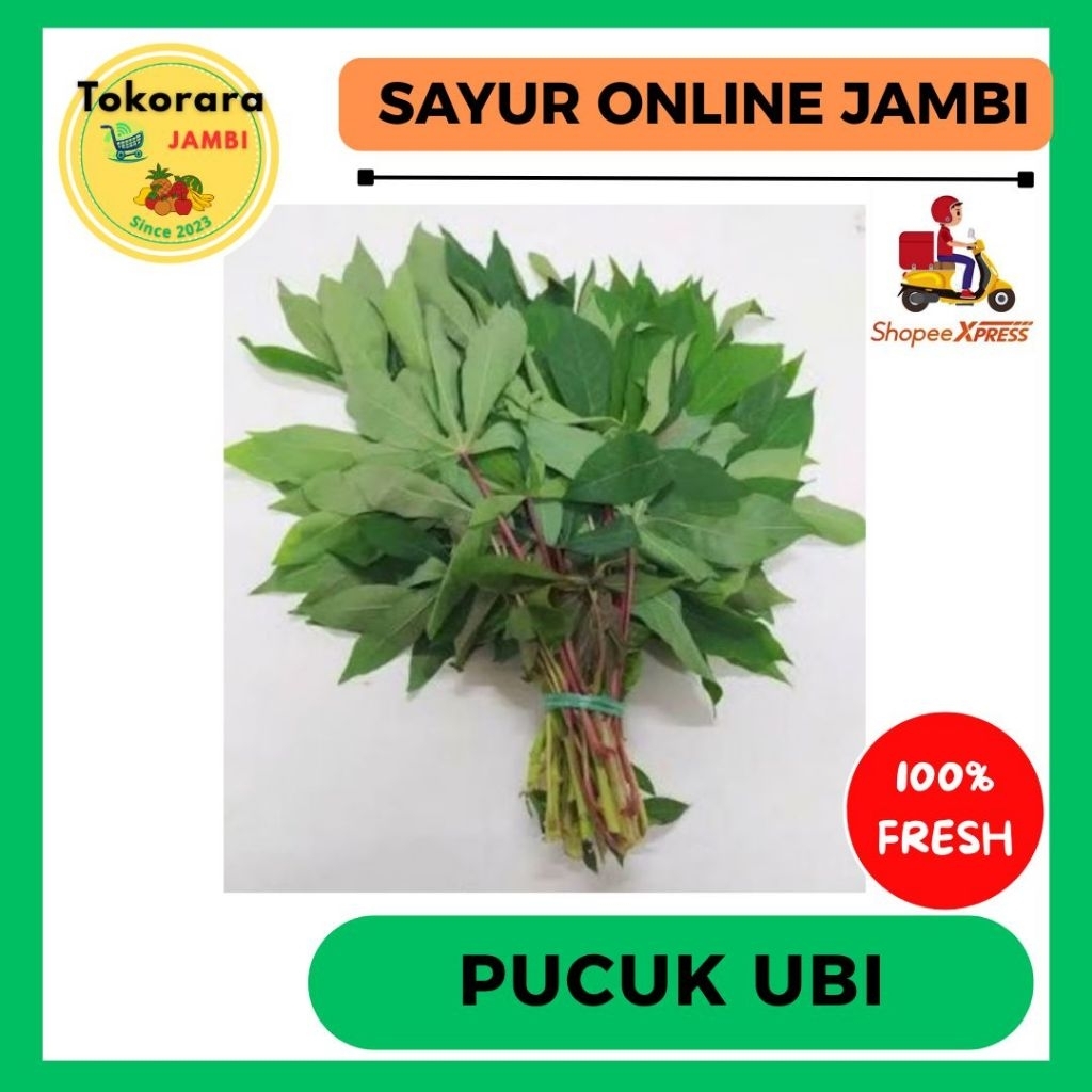

KIRIM INSTAN Sayur Pucuk Ubi/ikat-tokorara.jambi