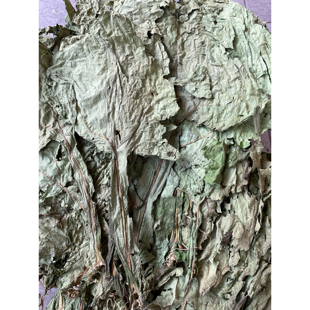 

daun yakon kondisi kering 250gr oven