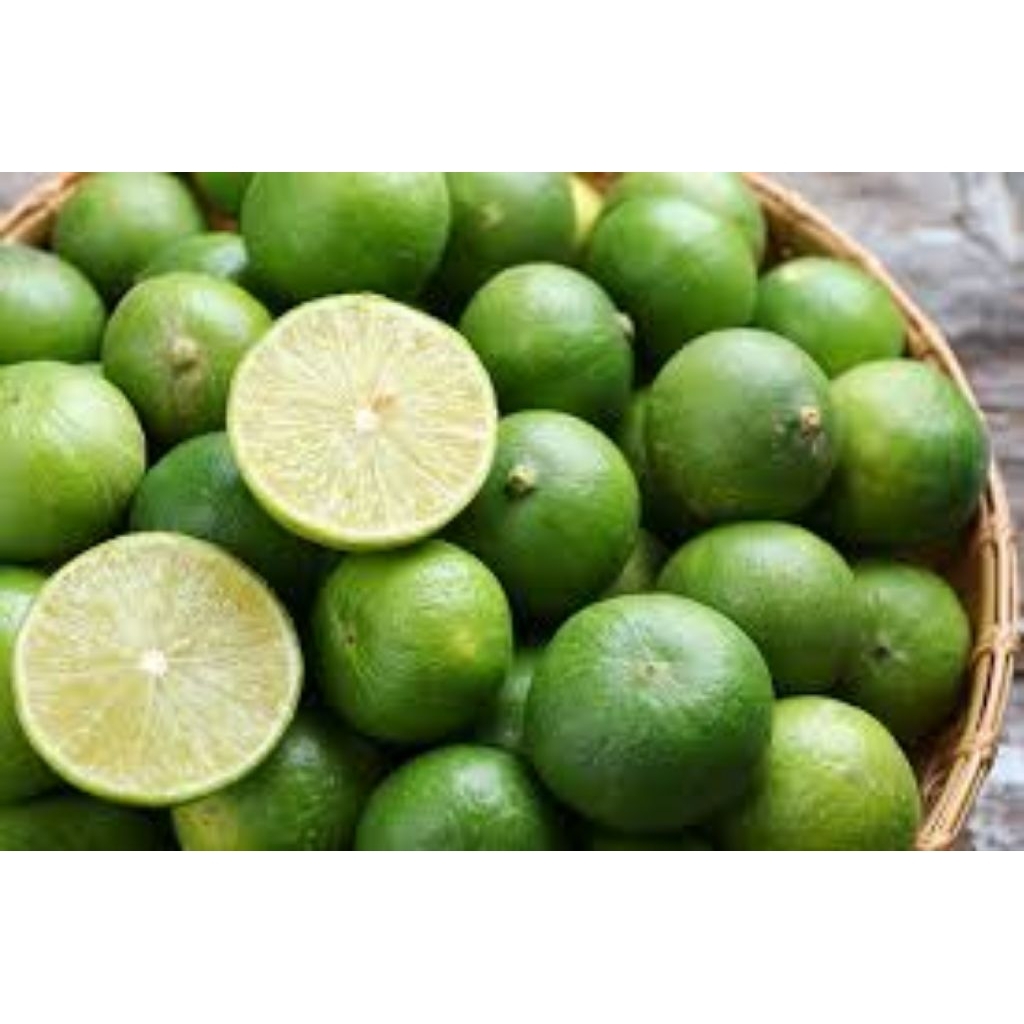 

[jeruk limo] ready baso aci paket usaha ekonomi cuanki instan seblak instan komplit boci ayam suwir pedes mercon enak murah paket jualan cemilan makanan