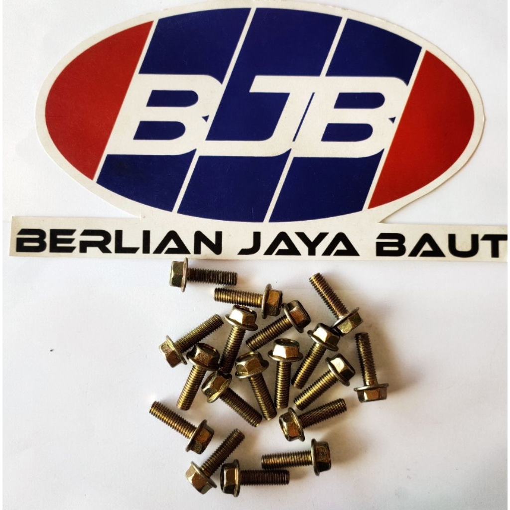 Baut 10 Payung (Baut Flange 6x20)
