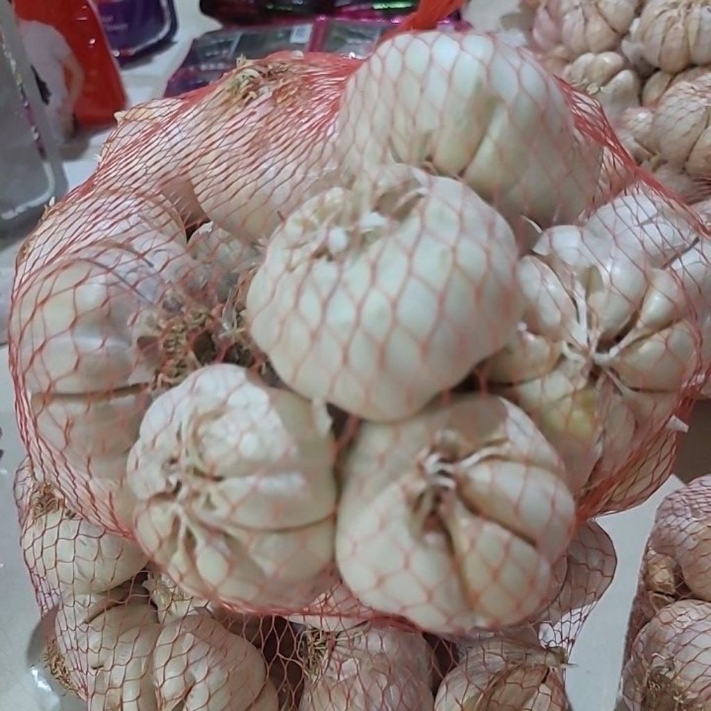 

Bawang putih 1000 gr/1kg bersih dan fresh