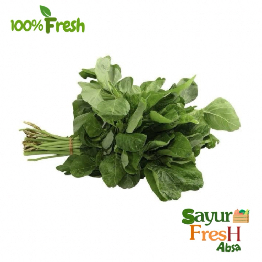 

Bayam per ikat fresh