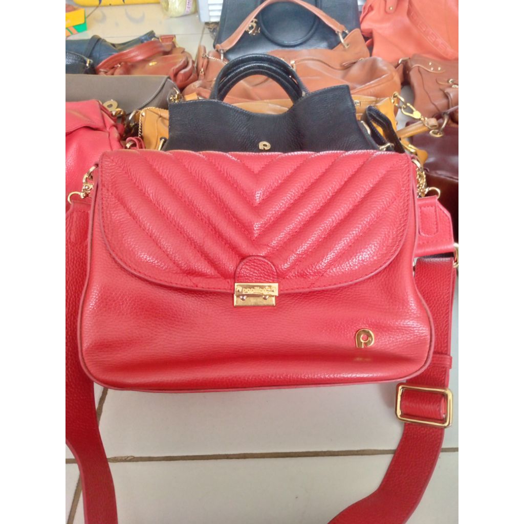 preloved papilon