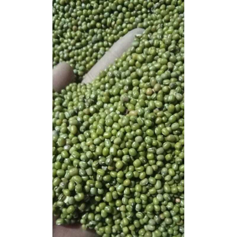 

1 Kg Kacang Hijau Bubur Australia Mung Bean Ijo Super Fresh