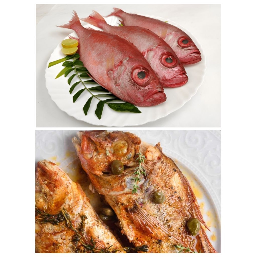 

Ikan Mata Goyang Kakap Merah 500 Gram