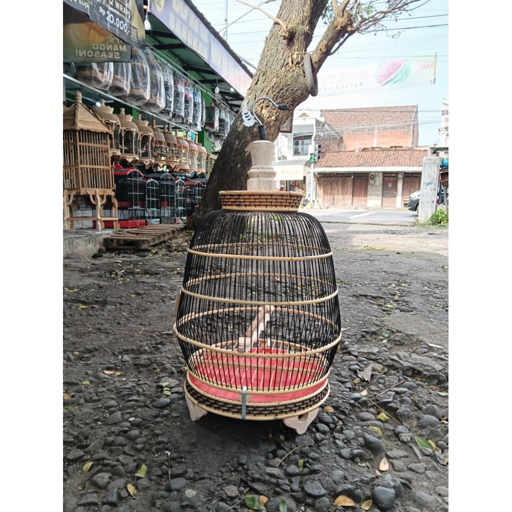 SANGKAR PERKUTUT MINION