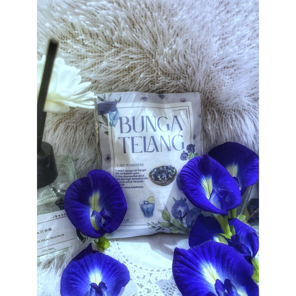 

Bunga Telang Kering Organik 10gr Siap Seduh Bunga Telang Kering - Teh Herbal Teh Bunga Telang Kering 100gr butterfly pea isi 100 Gram Blue Pea Kering Herbal Bunga Telang Kering 100gr Teh Butterflypea