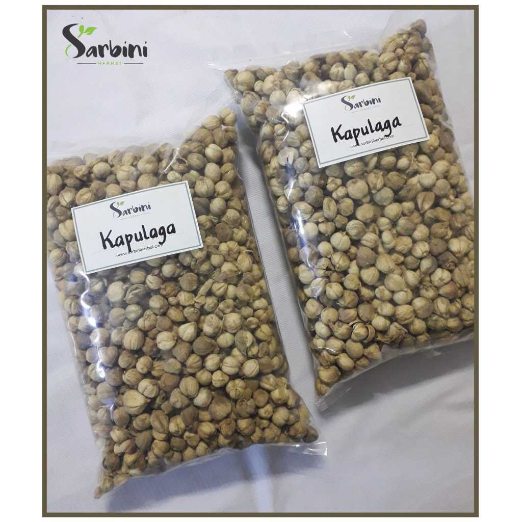 

Kapulaga Kering/Kering Kapulaga 100 gram / 250 gram / Simplisia Kering Kapulaga Garansi Terjamin 100% Asli Murni / Bahan Kapulaga Kering/Bahan Kapulaga Premium / Jamu Herbal Kapulaga Tradisional Tanpa Bahan