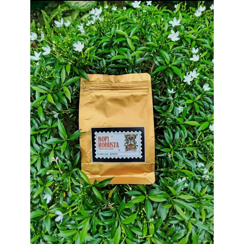 

Kopi robusta petik merah (250 gr)