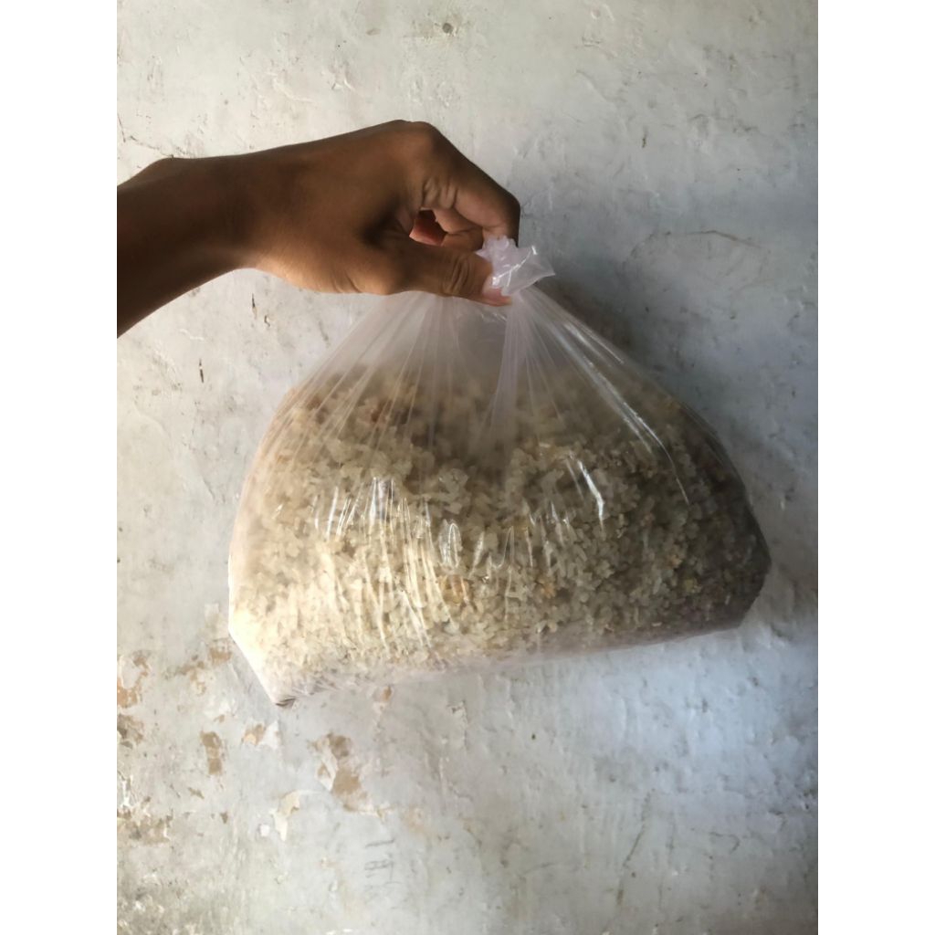 Nasi Aking Pakan Ayam