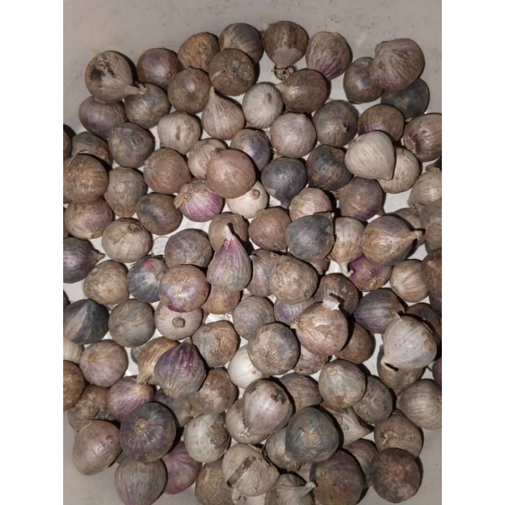

5Kg Bawang Lanang/Bawang putih tunggal,harga grosir
