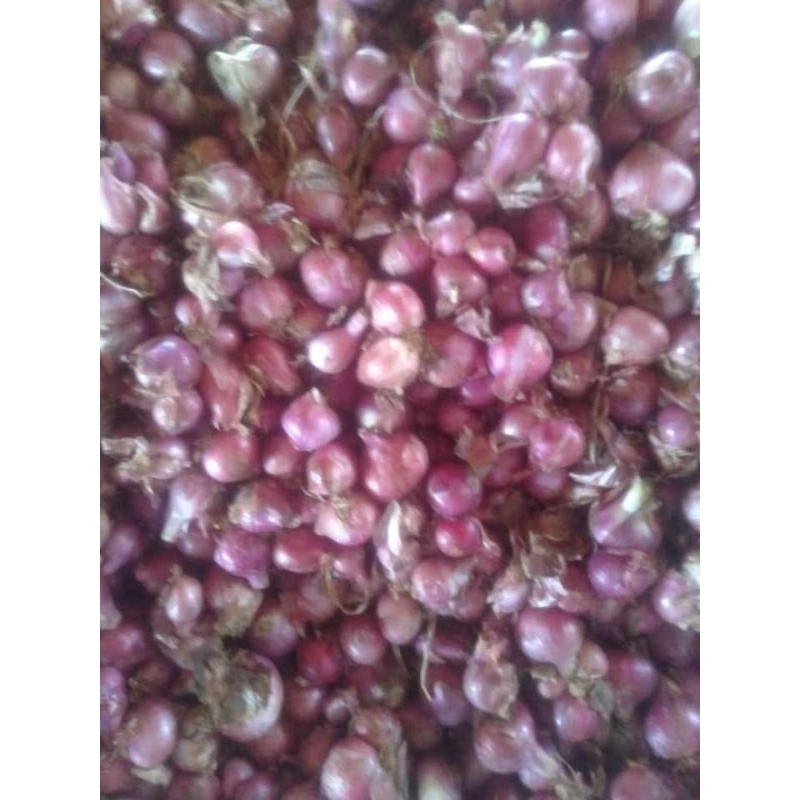 

Bawang merah 500grm