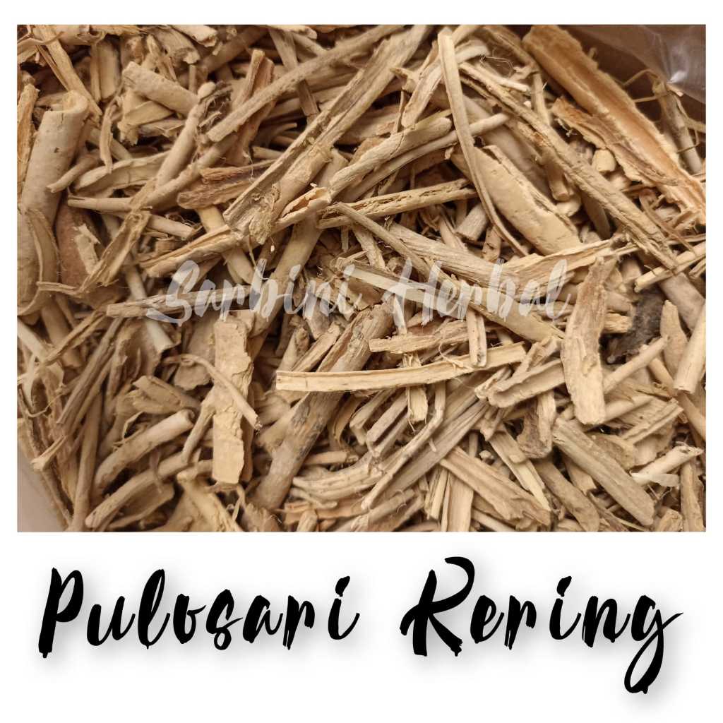 

Pulosari Kering / Kering Pulosari 500 gram / 1000 gram / Simplisia Kering Pulosari Garansi Terjamin 100% Asli Murni / Bahan Pulosari Kering / Bahan Pulosari Premium / Jamu Herbal Pulosari Tradisional Tanpa Bahan Pengawet