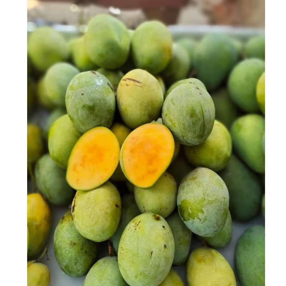 

mangga simanalagi super 1kg