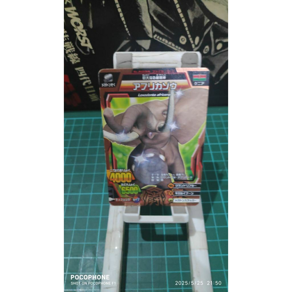 kartu animal kaiser bronze african elephant japan card