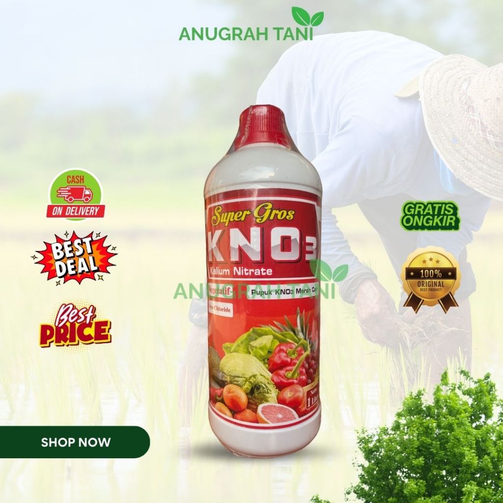 Pupuk Cair Super Kno3 1 Liter Masa Vegetatif