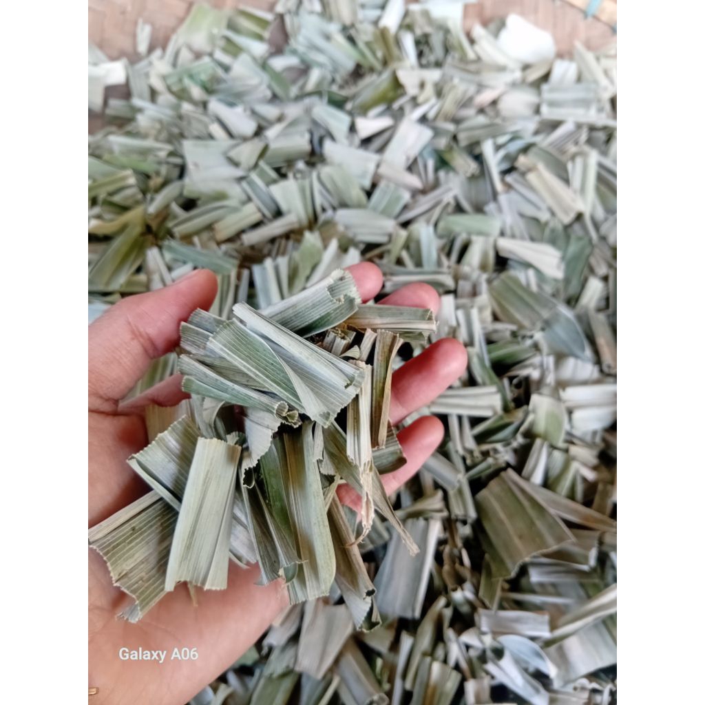 

Daun pandan kering 100 gram siap antar