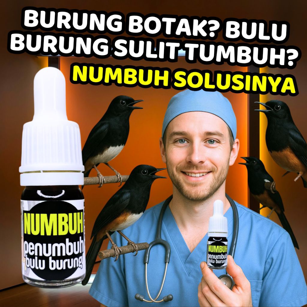 VITAMIN PENUMBUH BULU BURUNG NUMBUH MENGATASI BURUNG BOTAK DAN RONTOK