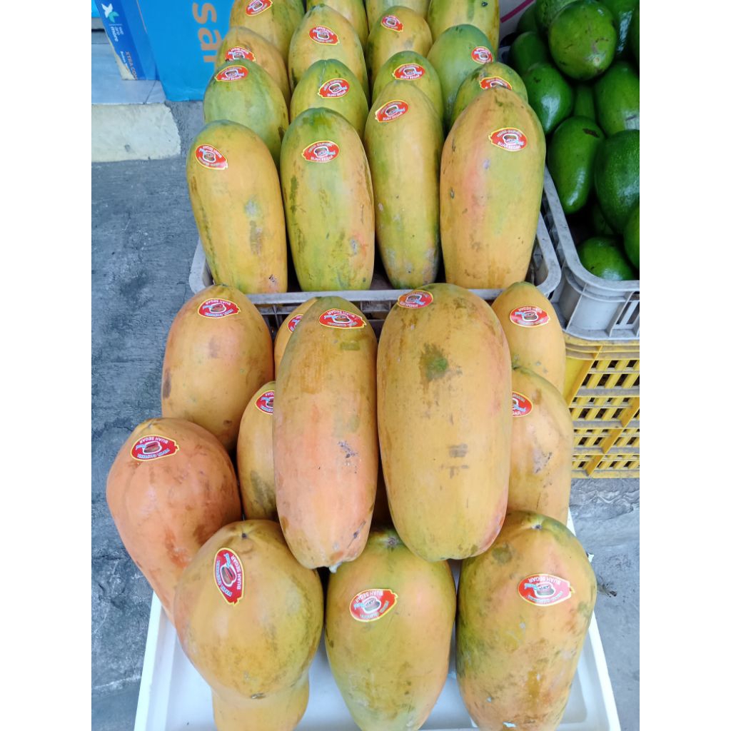 

PepayaCalifornia1buah