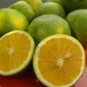 

JERUK BABY 500g