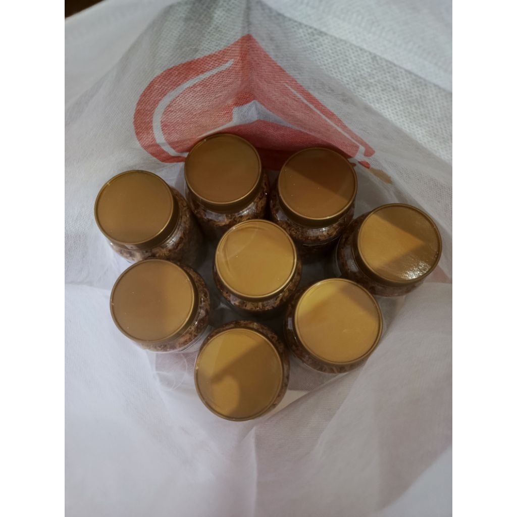 

LINK SAMBEL CHECKOUT BOBOB