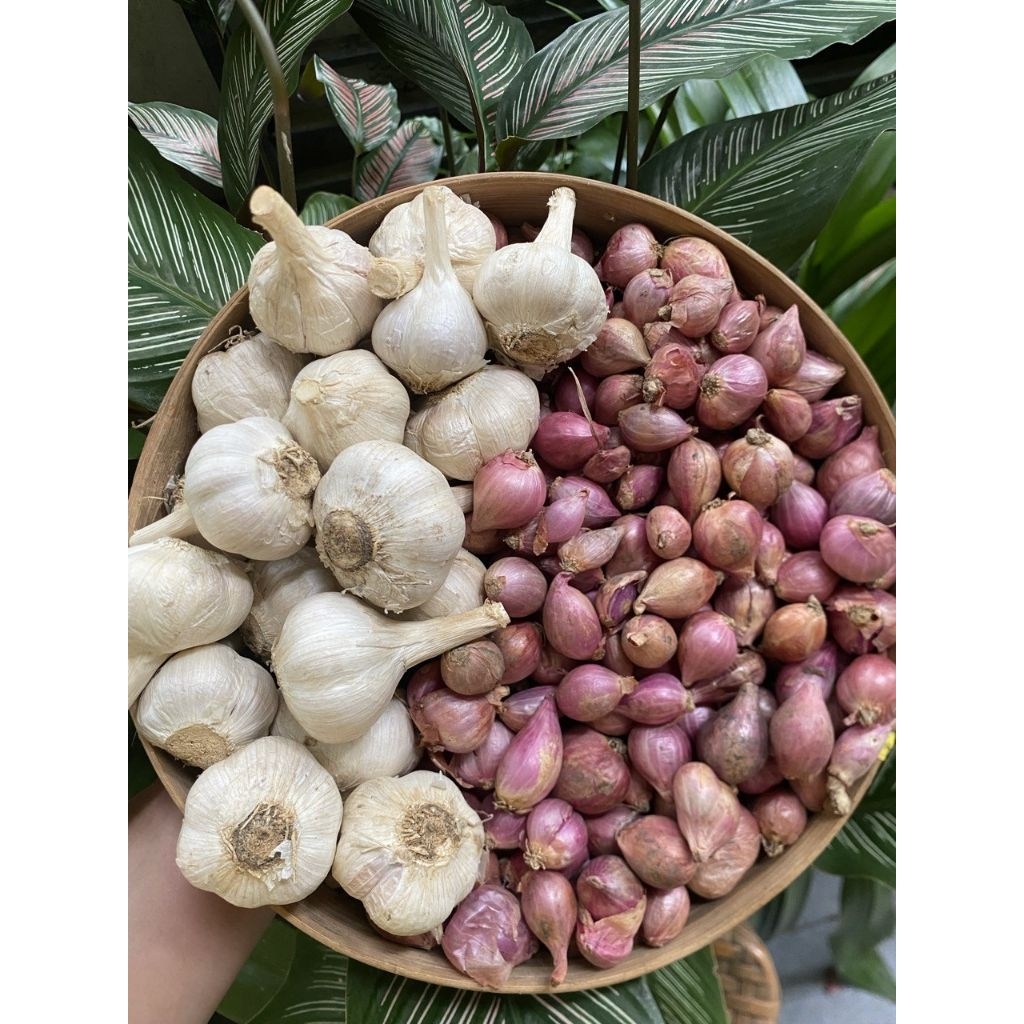 

(1000gr) paket bamer sedang ½kg + baput kating ½kg (H)